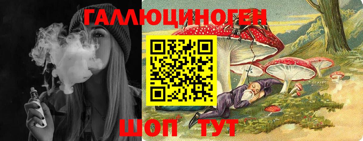 Южноуральск  Псилоцибиновые грибы Psilocybine cubensis  Вход с VPN 